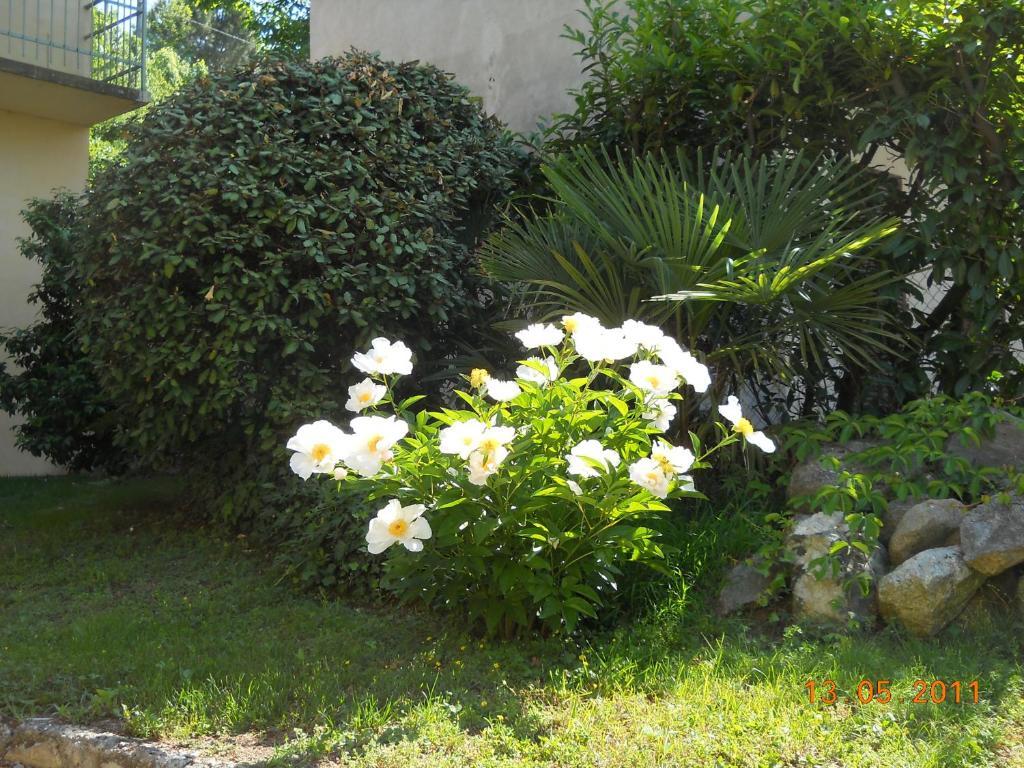 Villa D'Azeglio Albiano dʼIvrea Extérieur photo